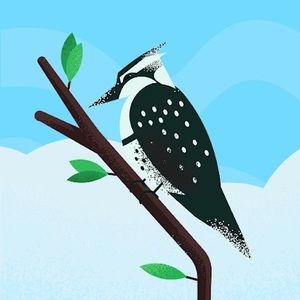 Meet your Posher, Mamadou alpha